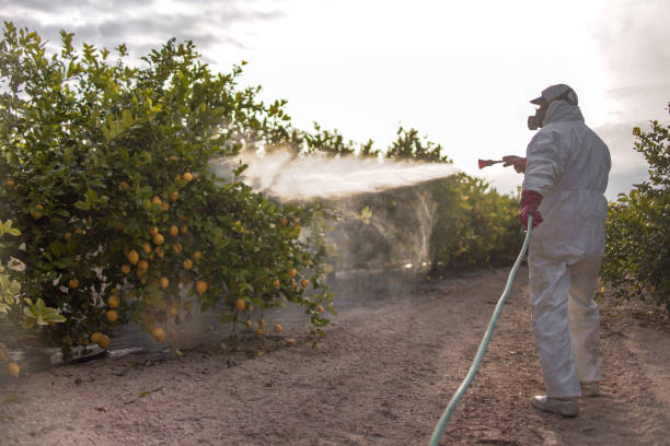 Best Emergency Pest Control  in Jupiter Farms, FL