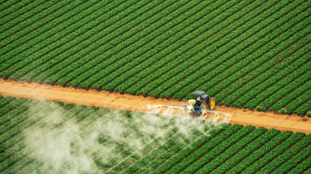 Best Wildlife Control Services  in Jupiter Farms, FL