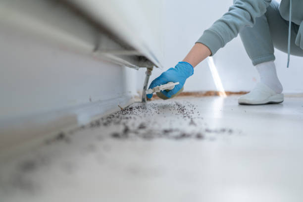 Insect Control in Jupiter Farms, FL